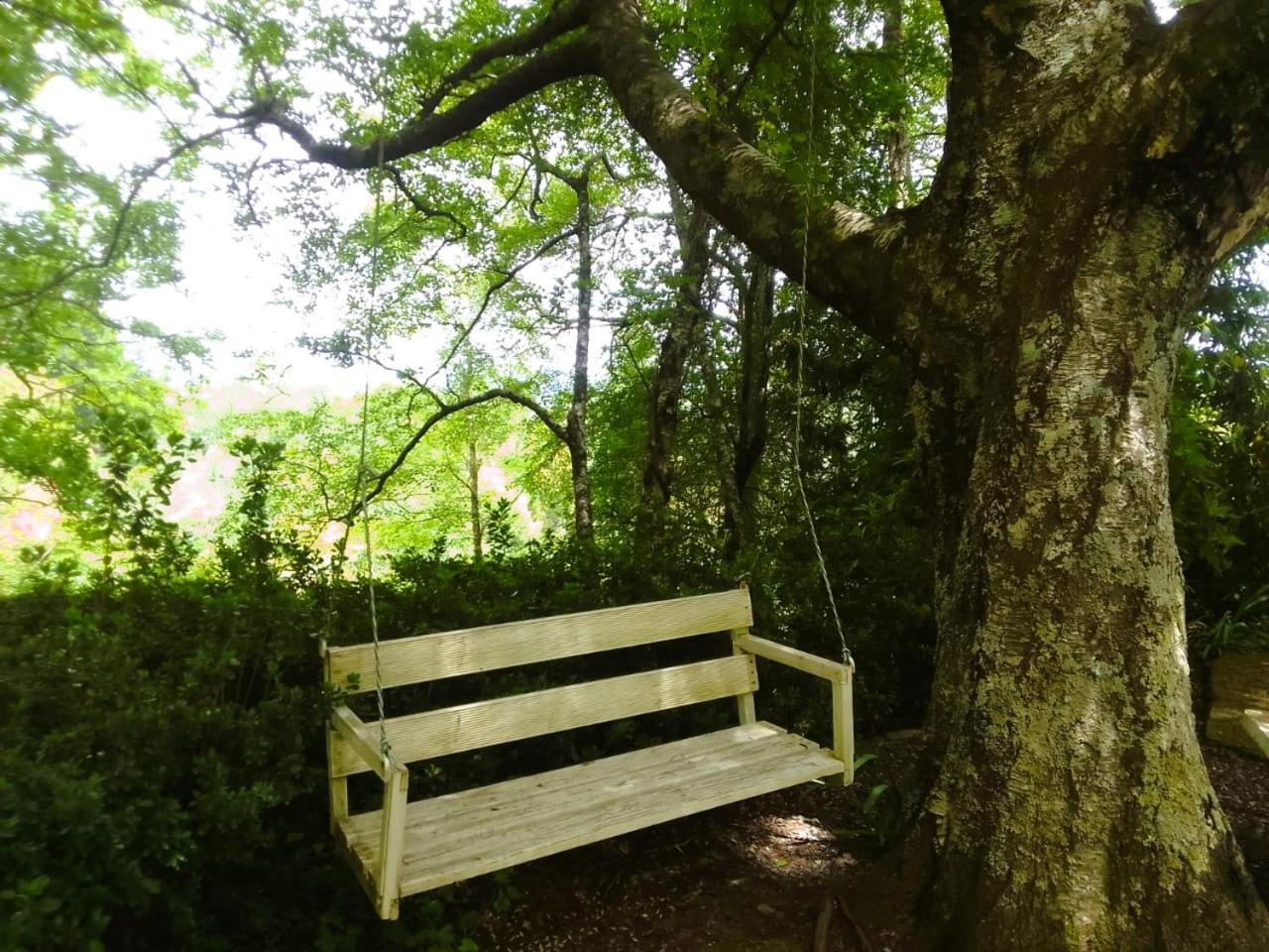 Hogsback Hidden Away