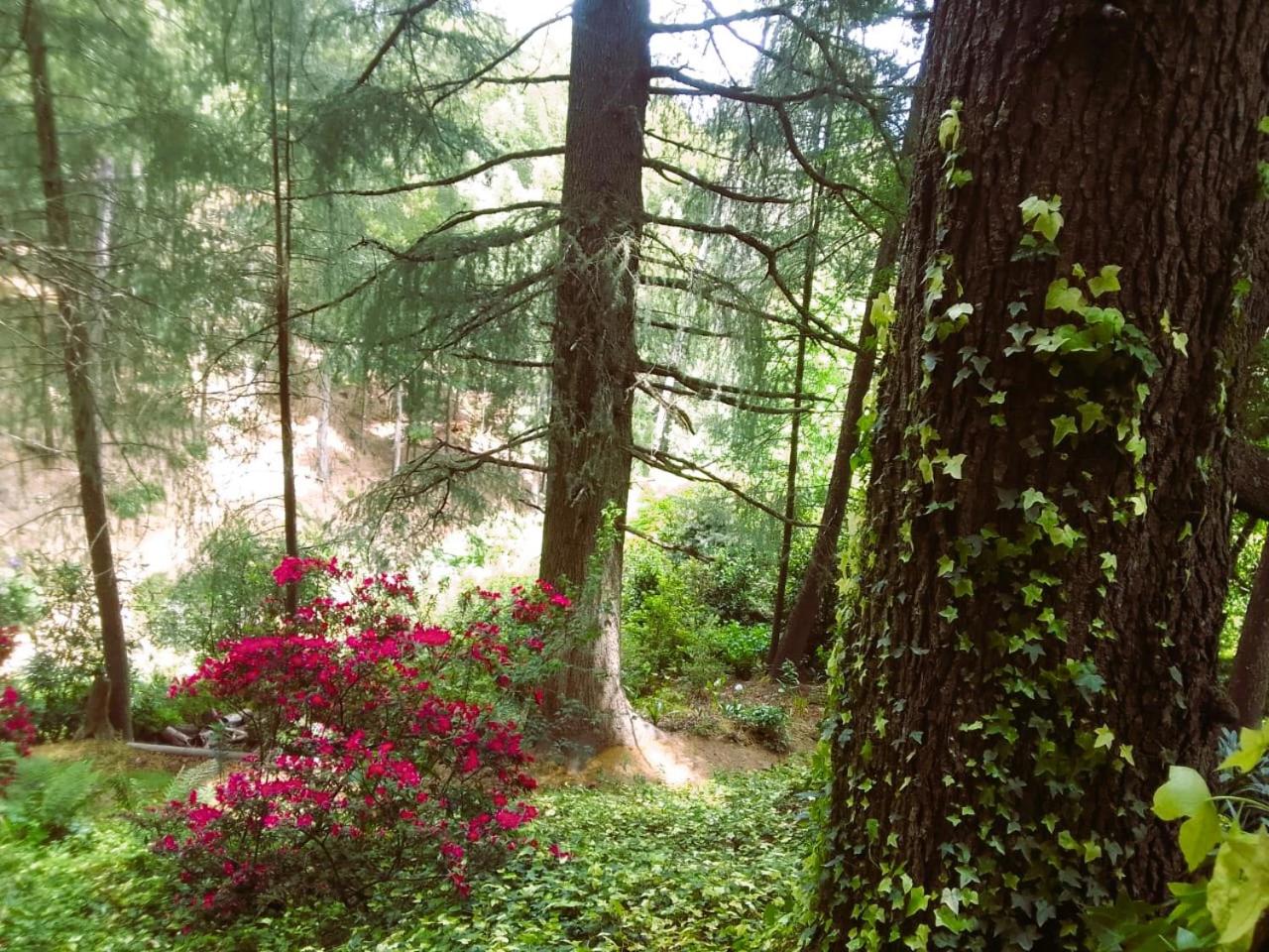 Hogsback Hidden Away
