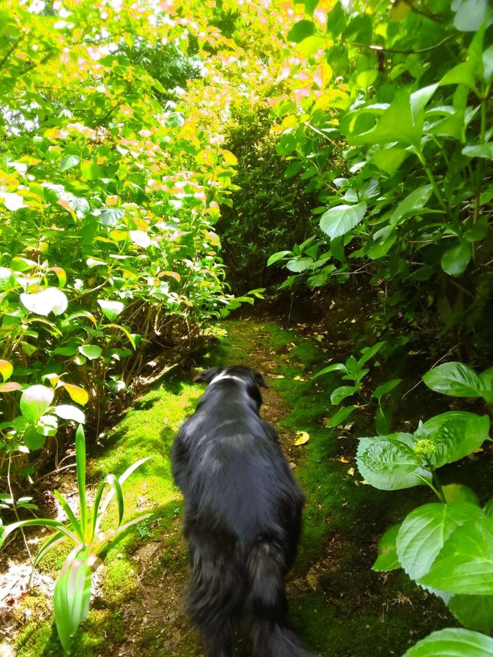 Hogsback Hidden Away