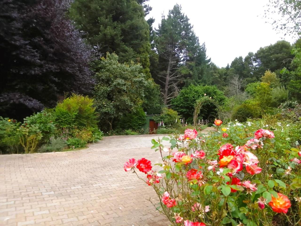 Hogsback Hidden Away