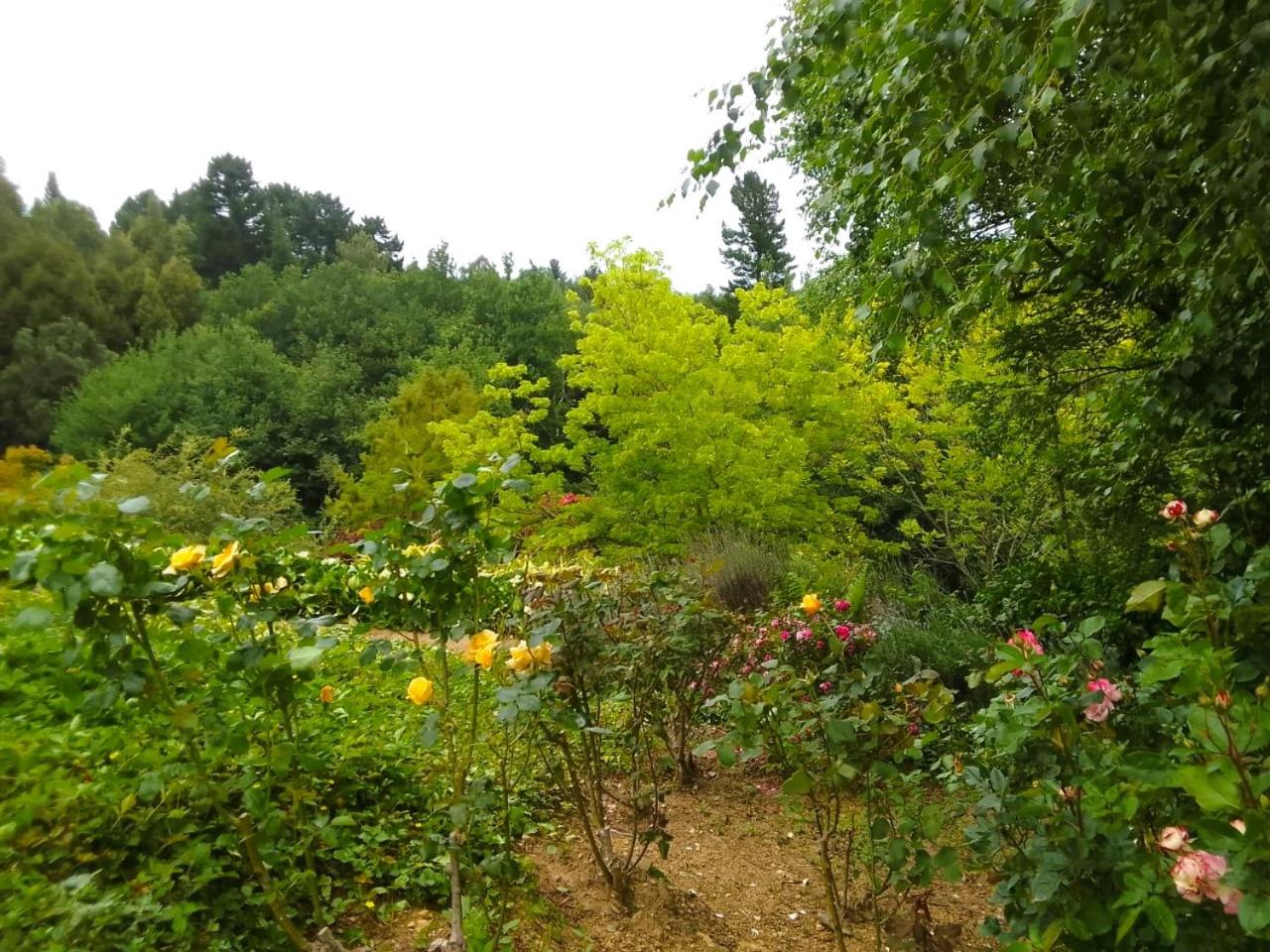 Hogsback Hidden Away