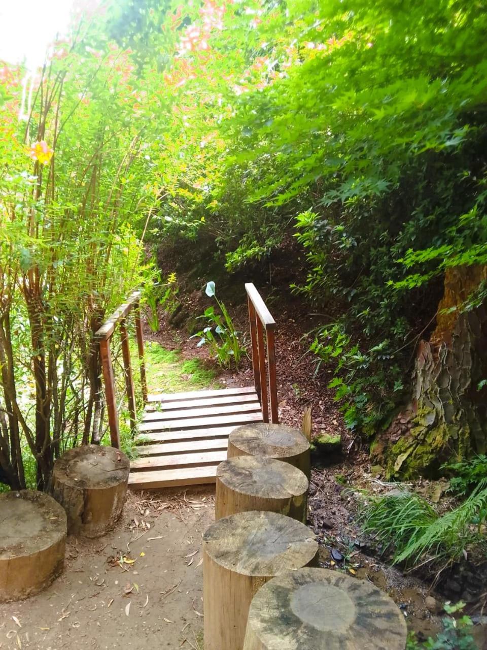 Hogsback Hidden Away