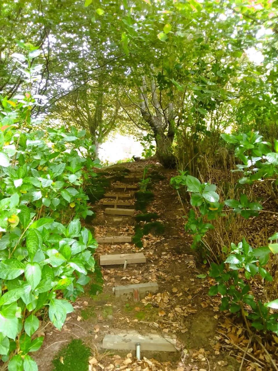 Hogsback Hidden Away