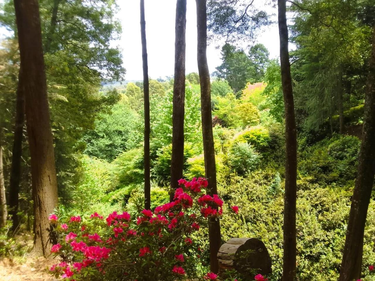 Hogsback Hidden Away