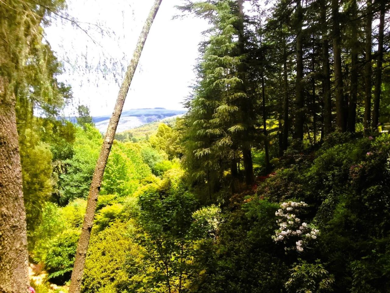 Hogsback Hidden Away