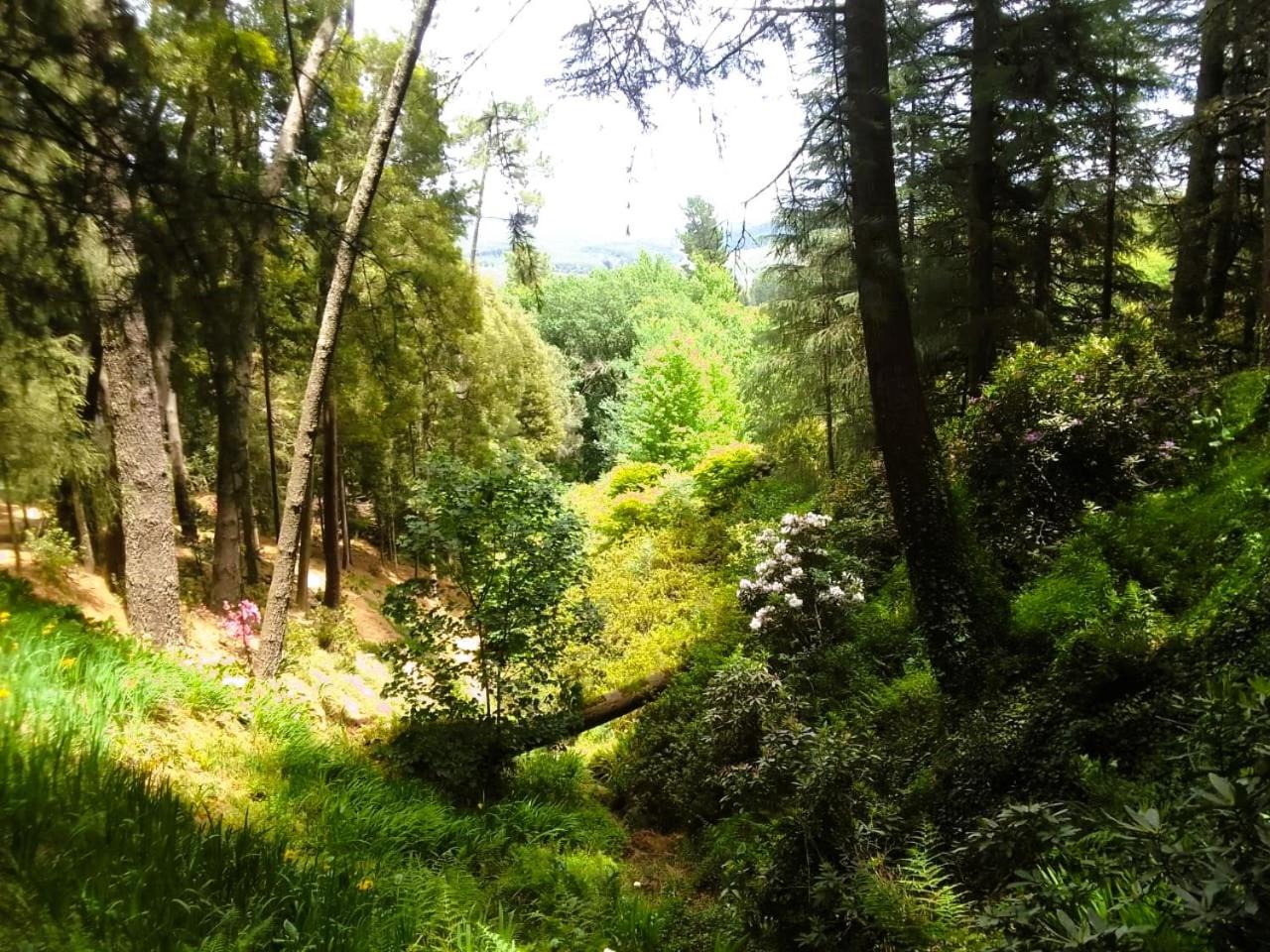 Hogsback Hidden Away