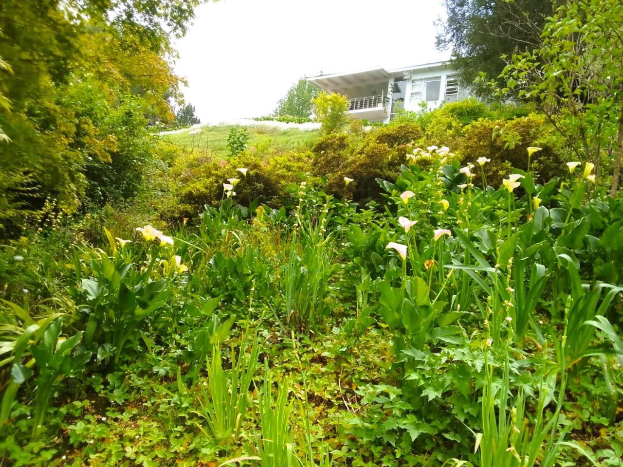 Hogsback Hidden Away