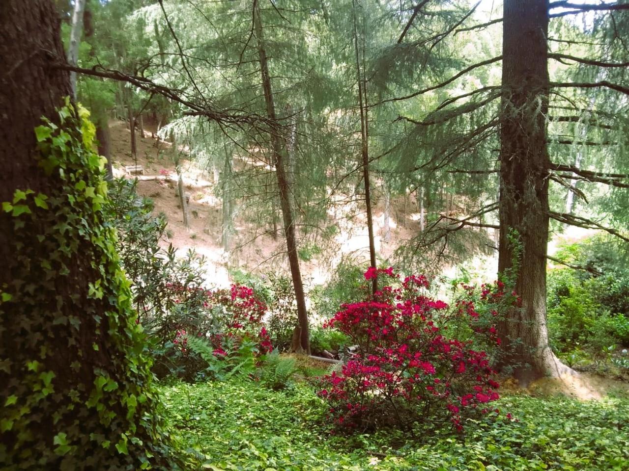 Hogsback Hidden Away
