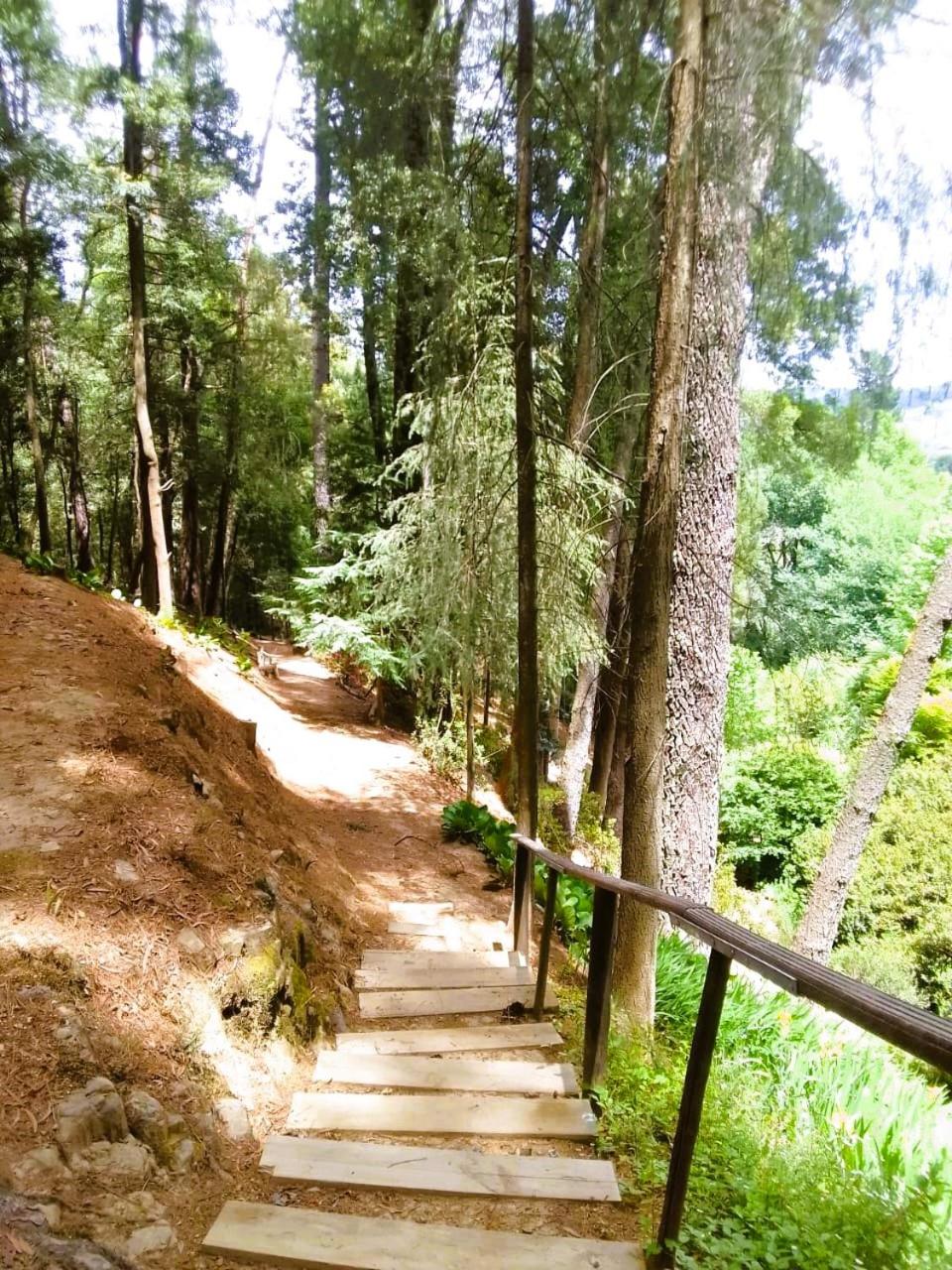 Hogsback Hidden Away
