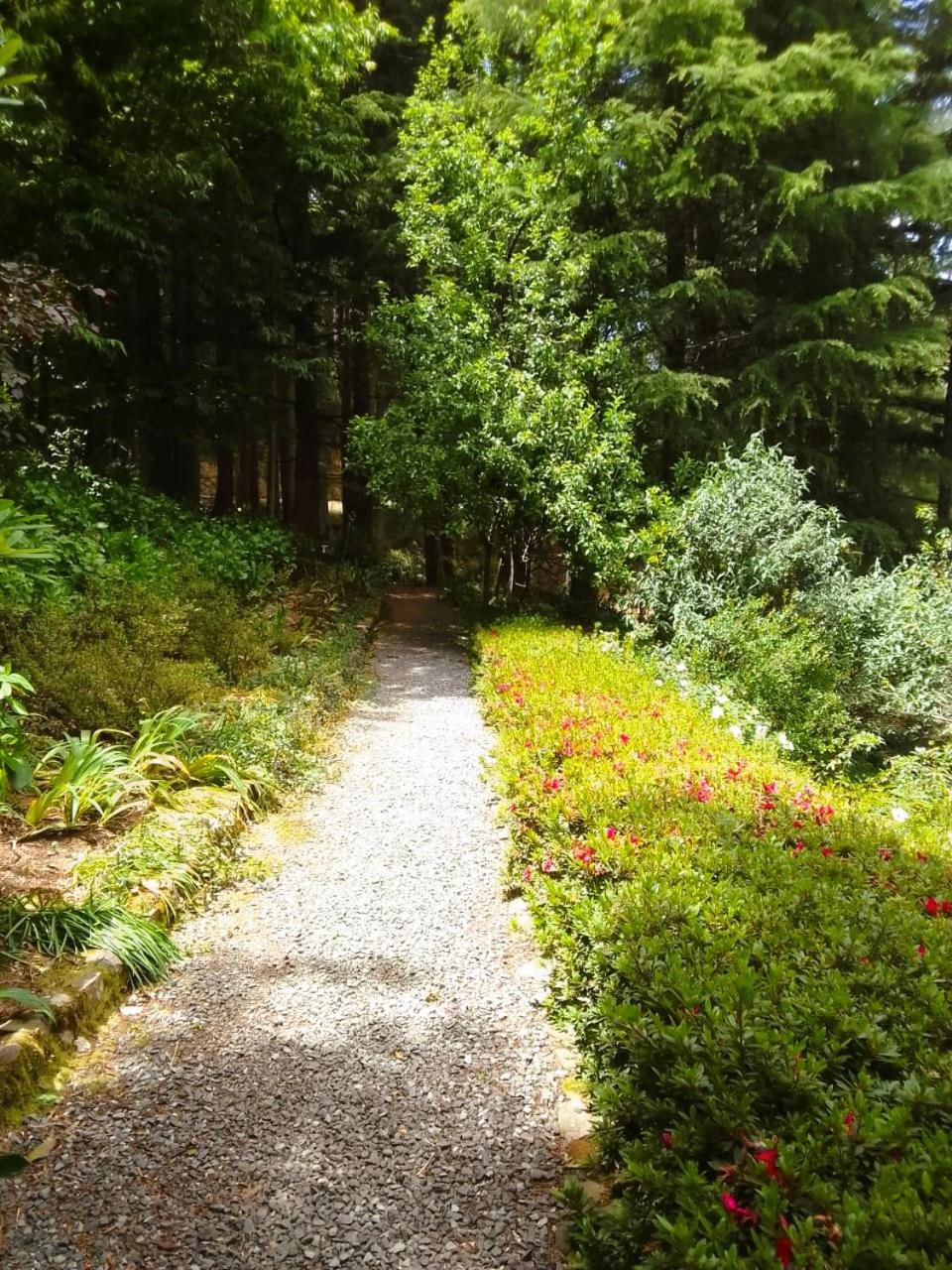 Hogsback Hidden Away