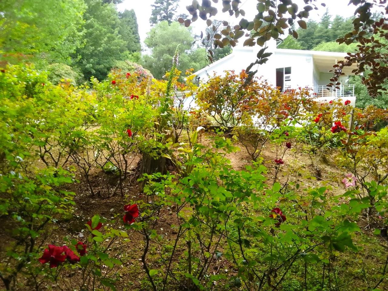Hogsback Hidden Away