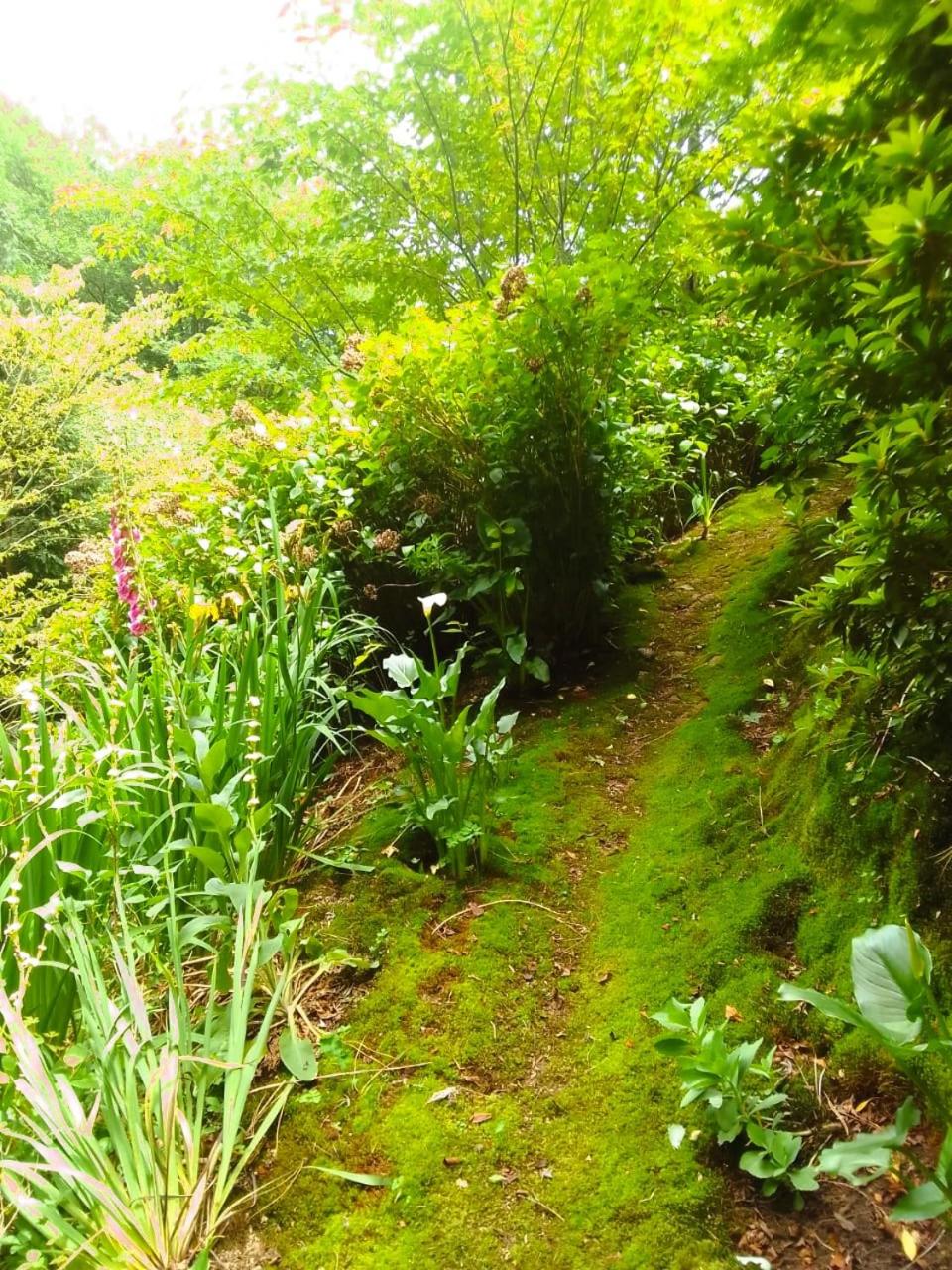 Hogsback Hidden Away
