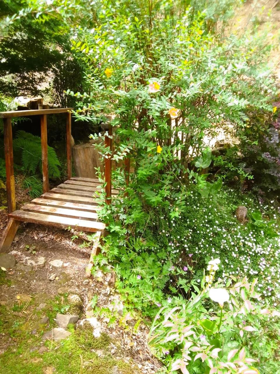 Hogsback Hidden Away