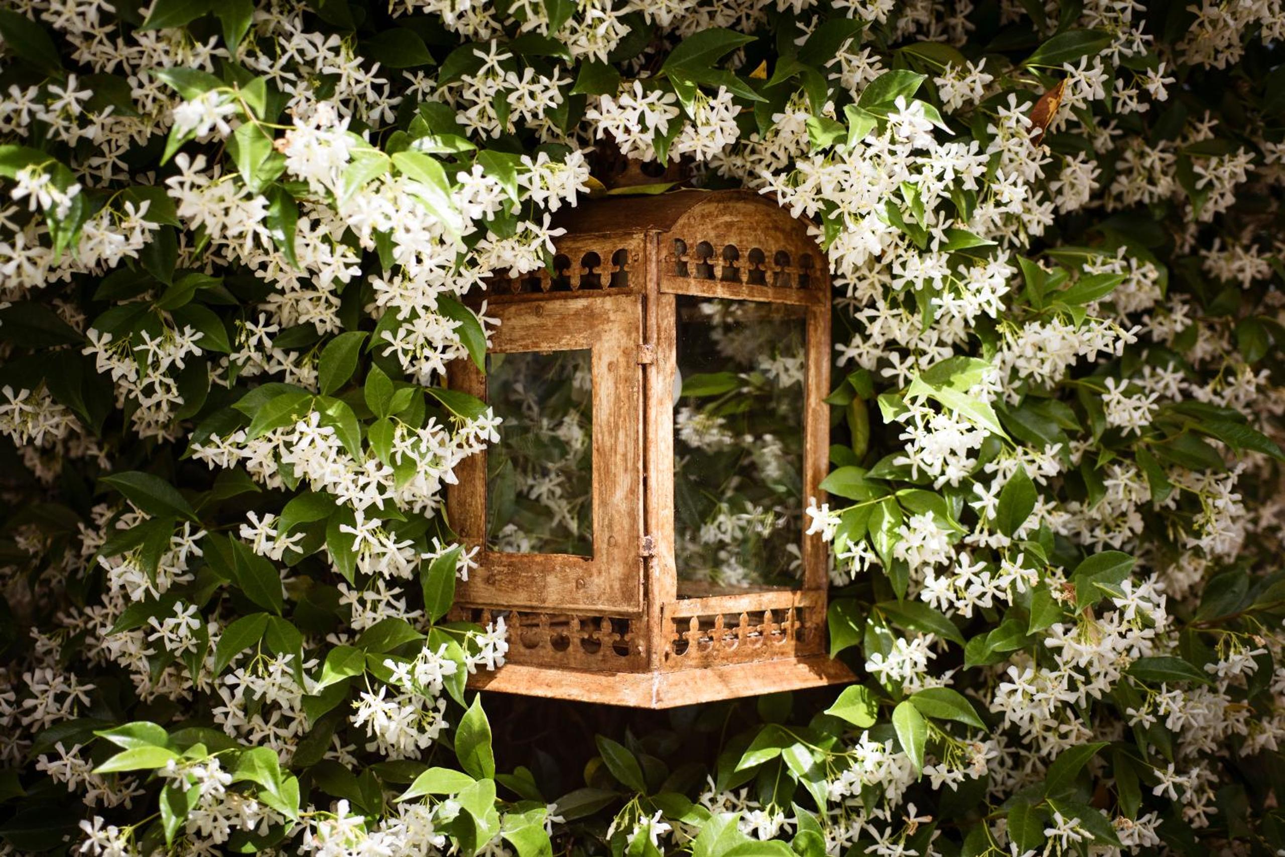 Boutique Hotel Poggio ai Santi - Adults Only