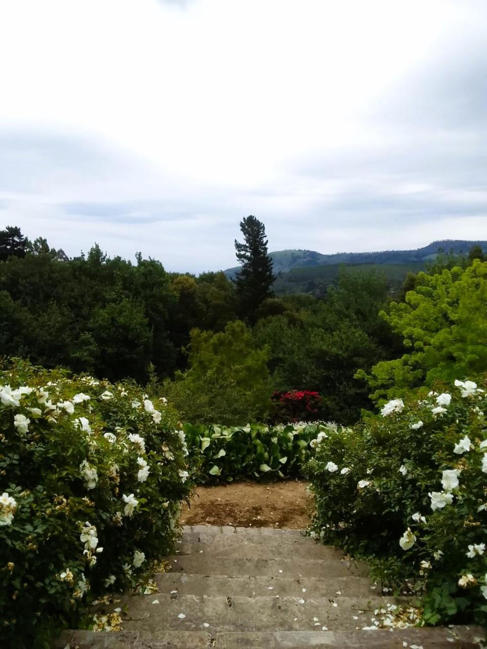Hogsback Hidden Away