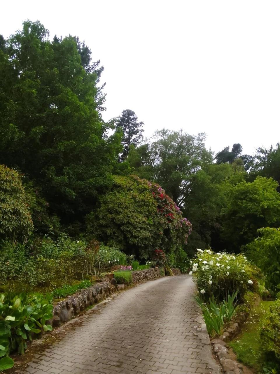Hogsback Hidden Away