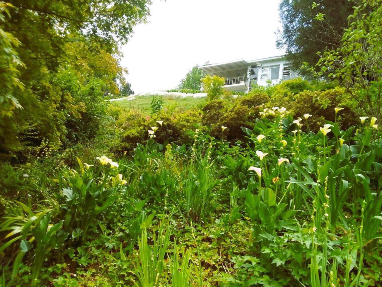 Hogsback Hidden Away