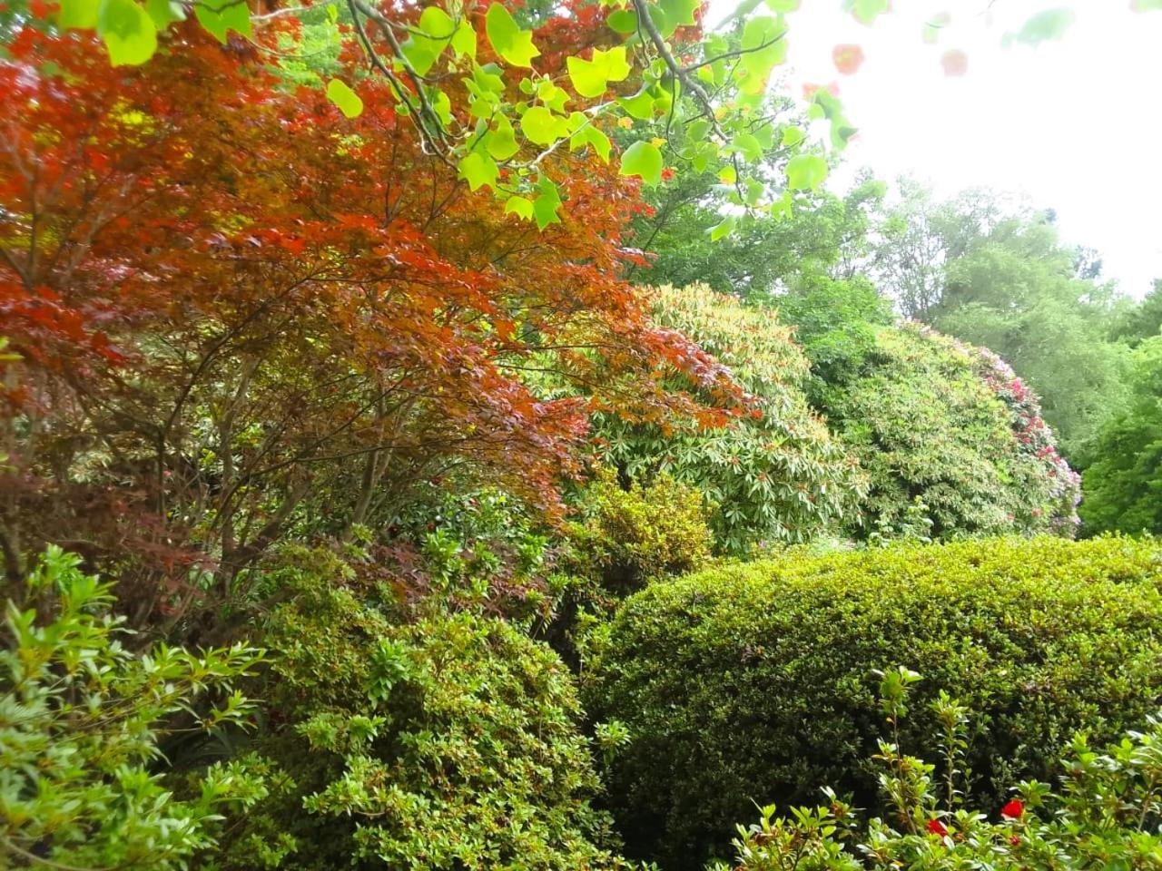 Hogsback Hidden Away