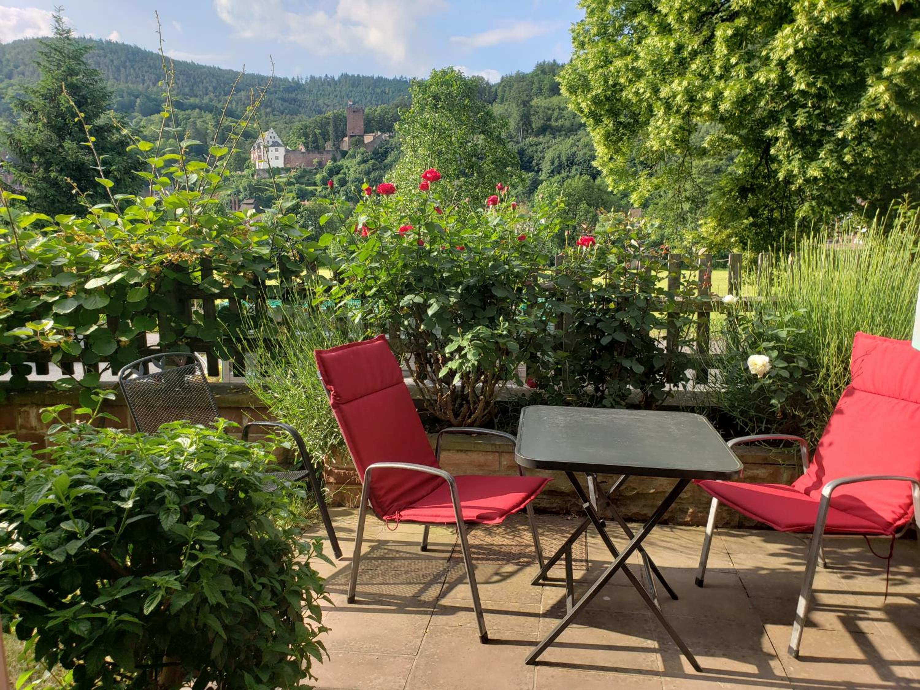 Panorama-Blick Miltenberg, 3 Pers., zentr., am Main, Terrasse, Bootverleih, P - Property Image 26