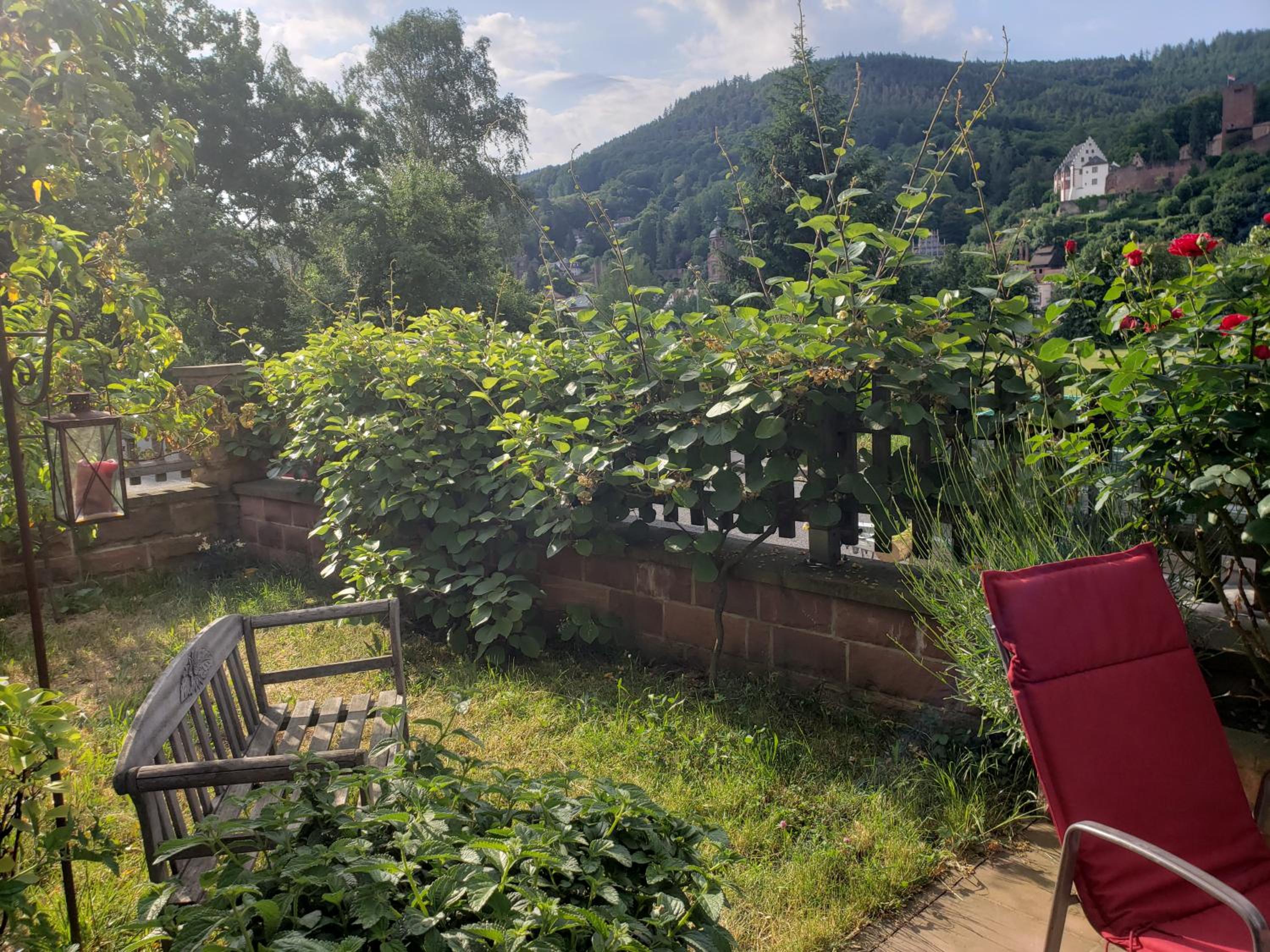 Panorama-Blick Miltenberg, 3 Pers., zentr., am Main, Terrasse, Bootverleih, P - Property Image 8