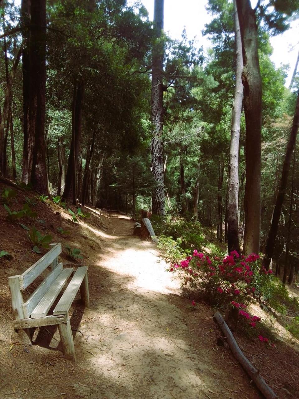 Hogsback Hidden Away