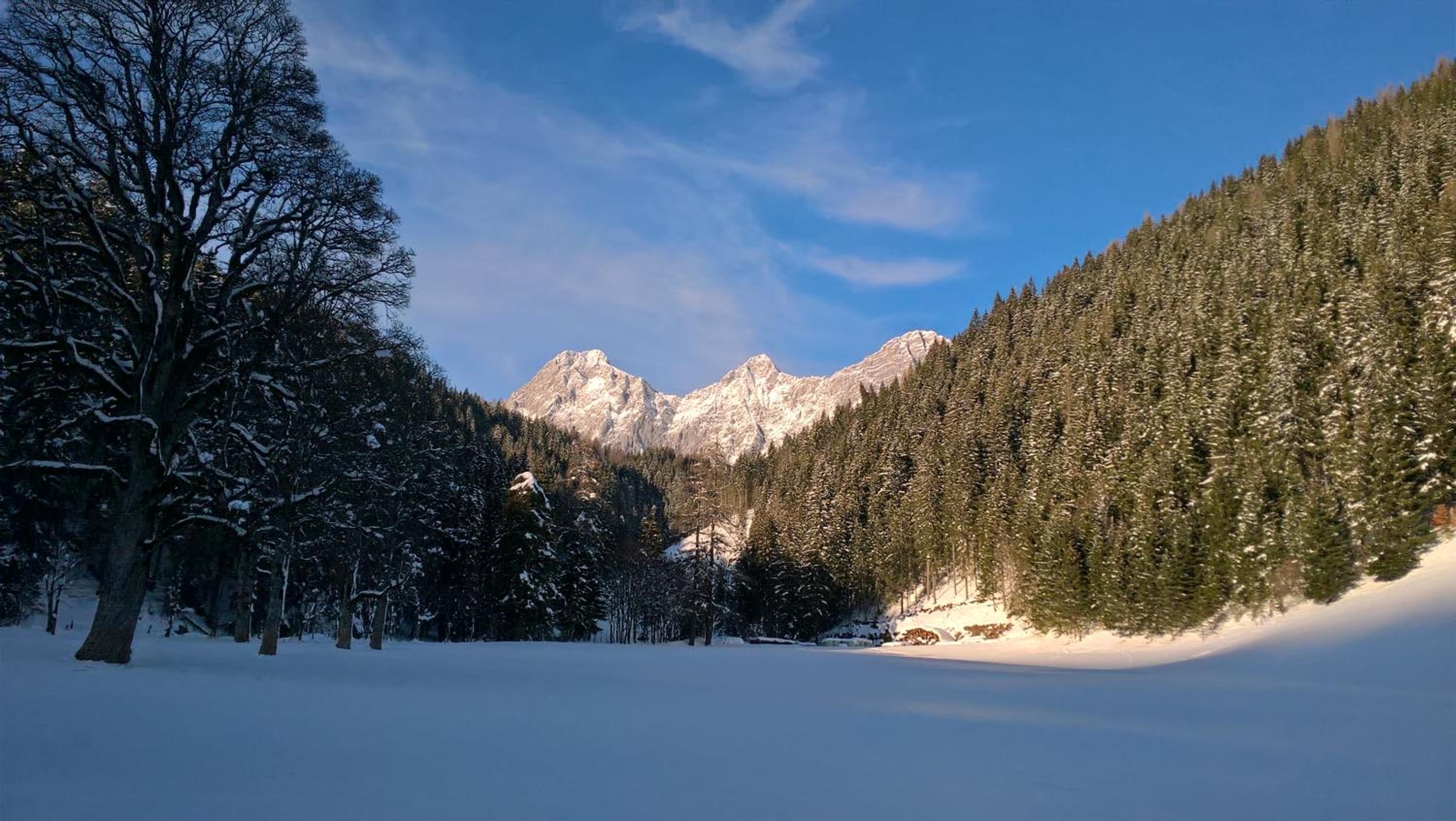 Alpenrose Boutique Chalet Gretl