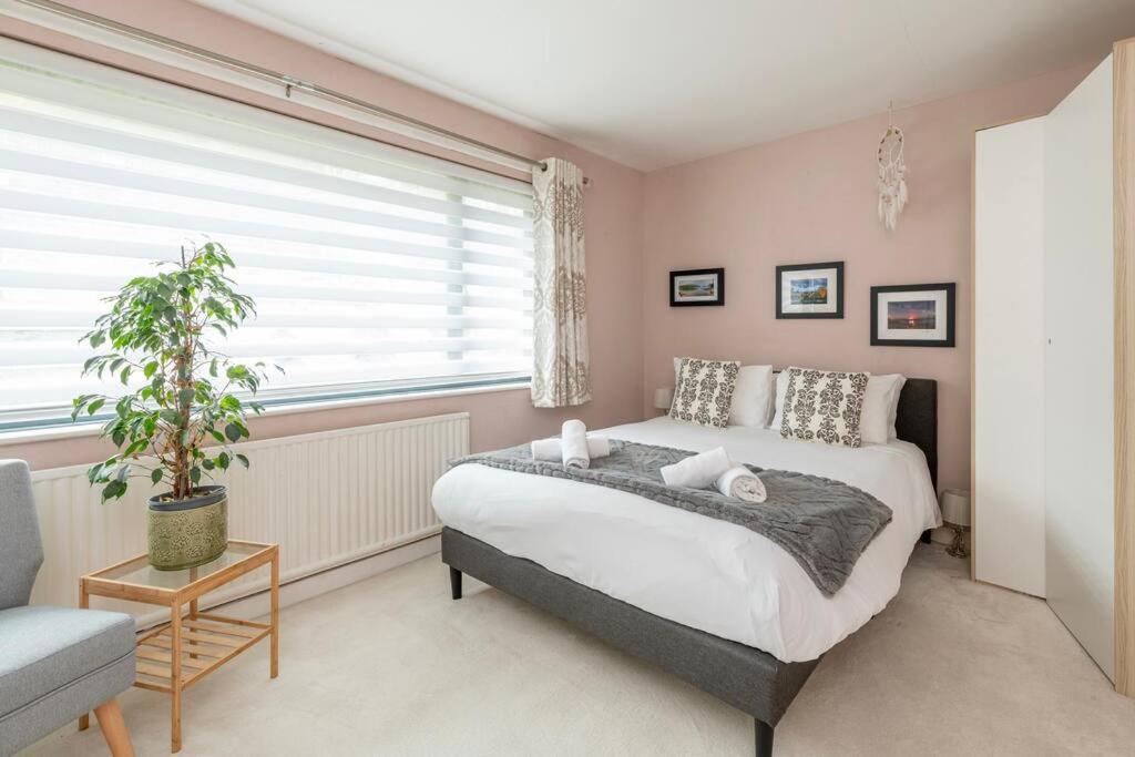 Fabulous House in Bath w/parking