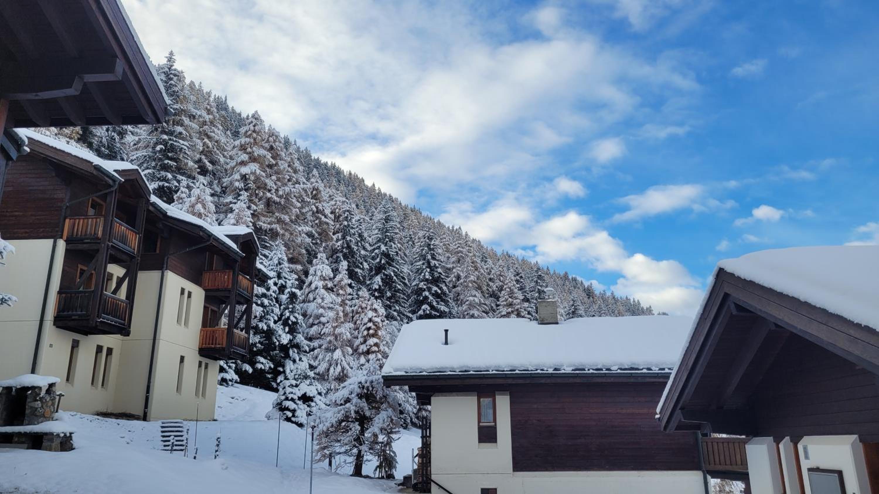 Chalet Meise