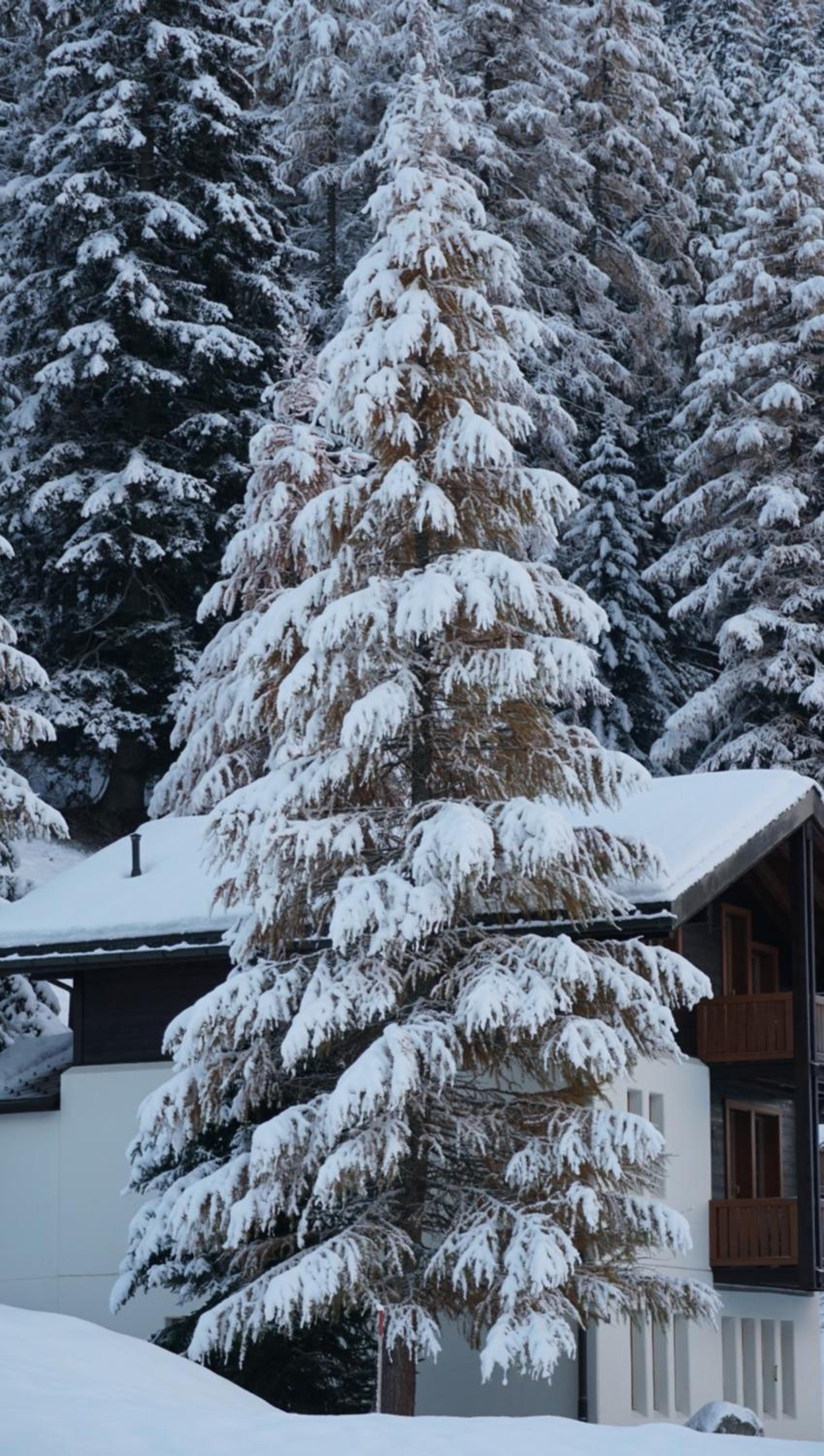 Chalet Meise
