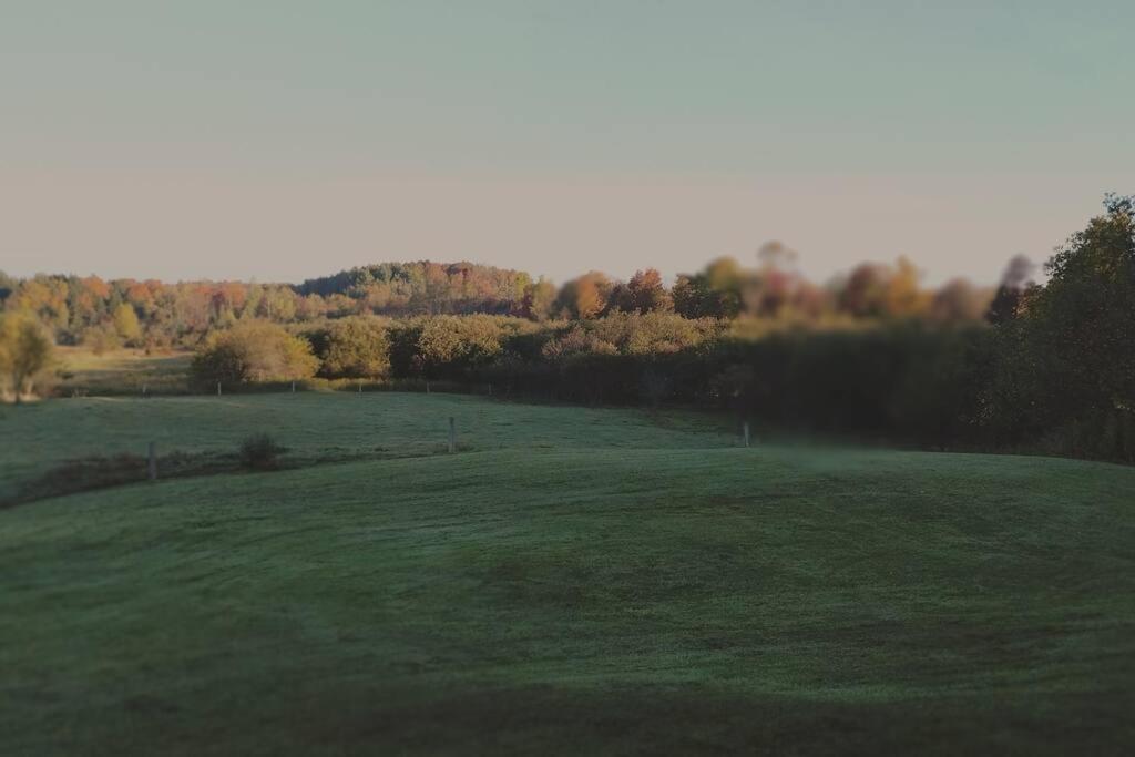 Tug Hill Paradise, Copenhagen, NY view 4