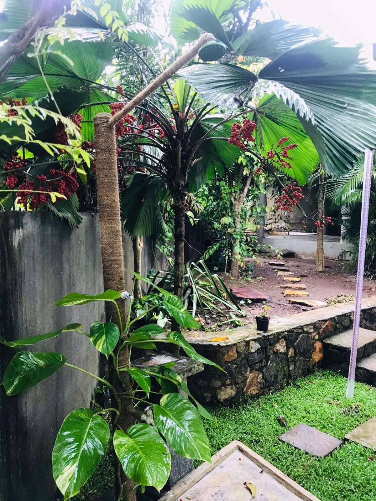 Homies Holiday House