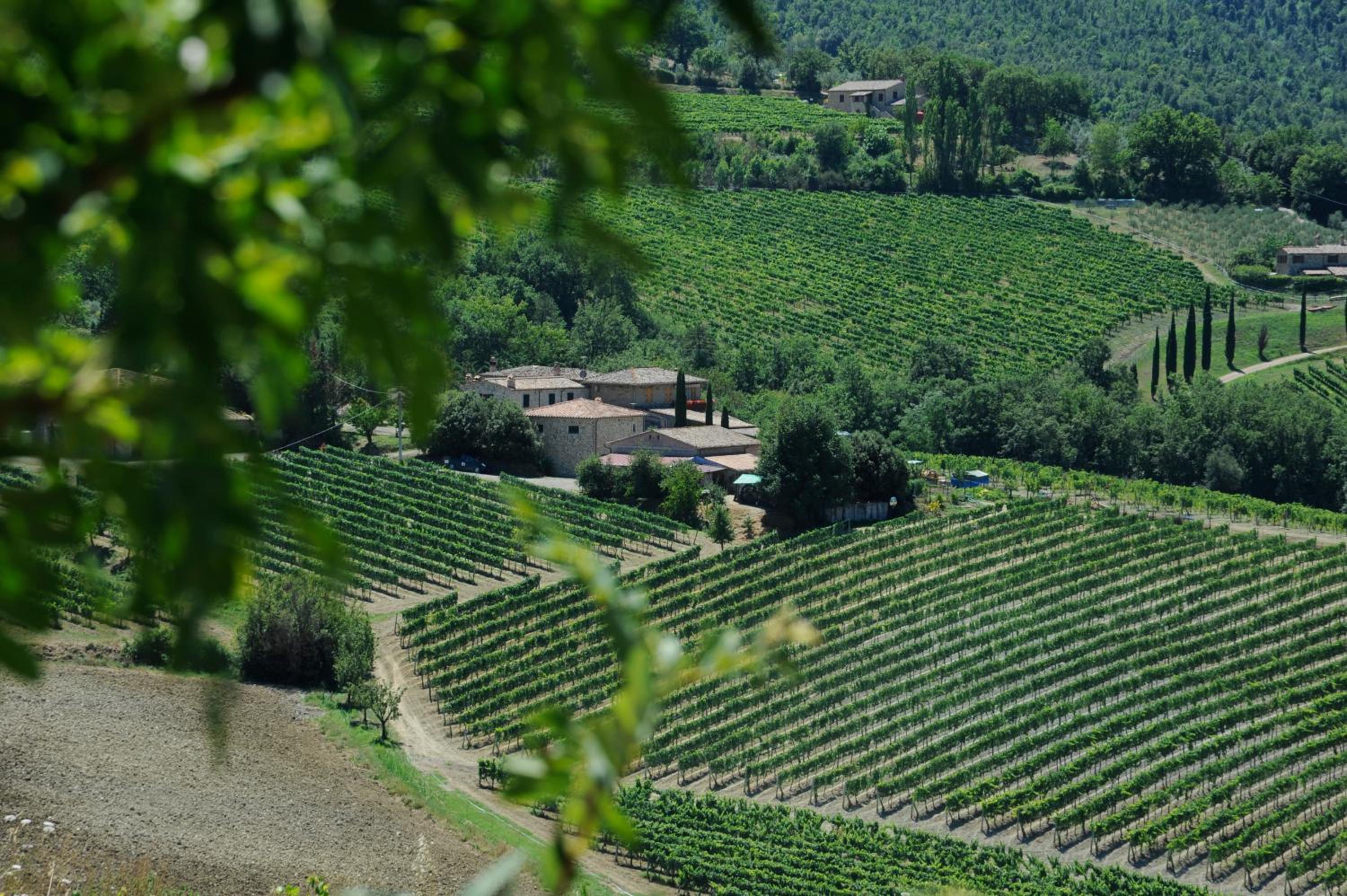 Agriturismo Pertimali