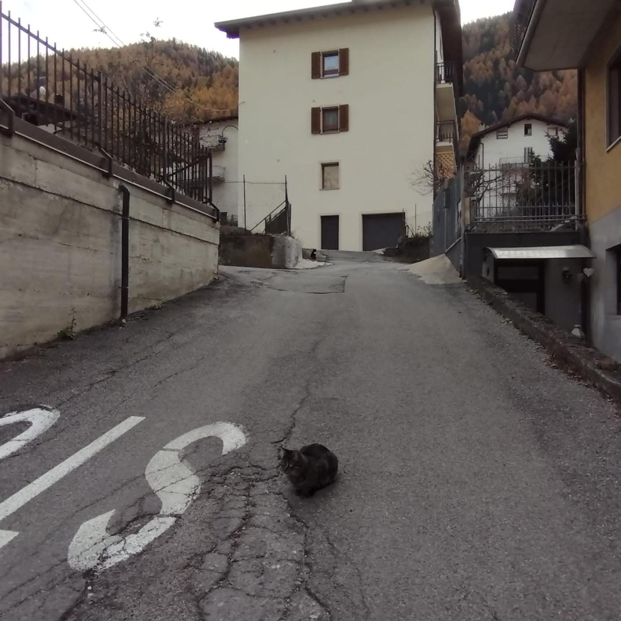 residenza " Il Gufetto" view 2