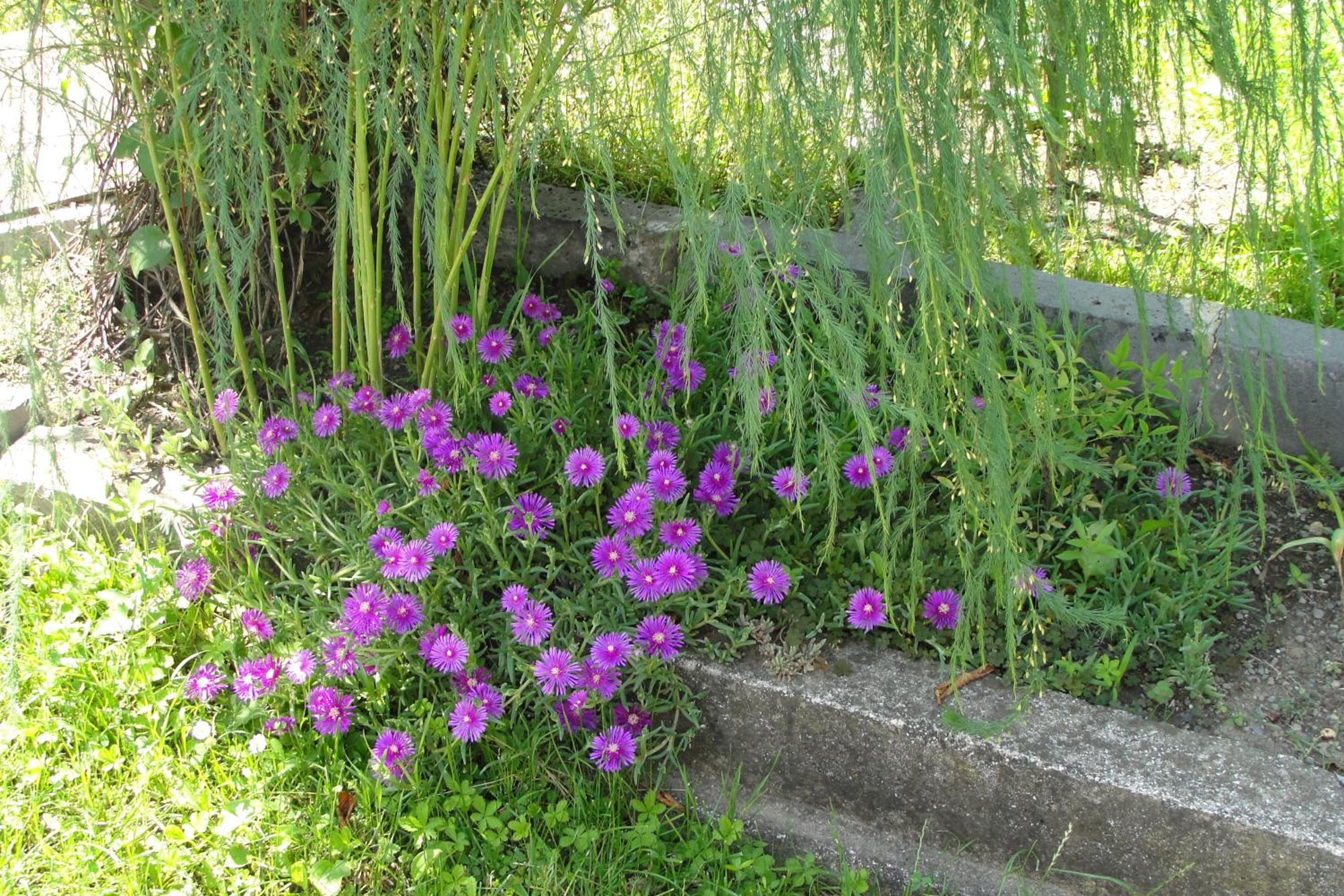 Photo 52