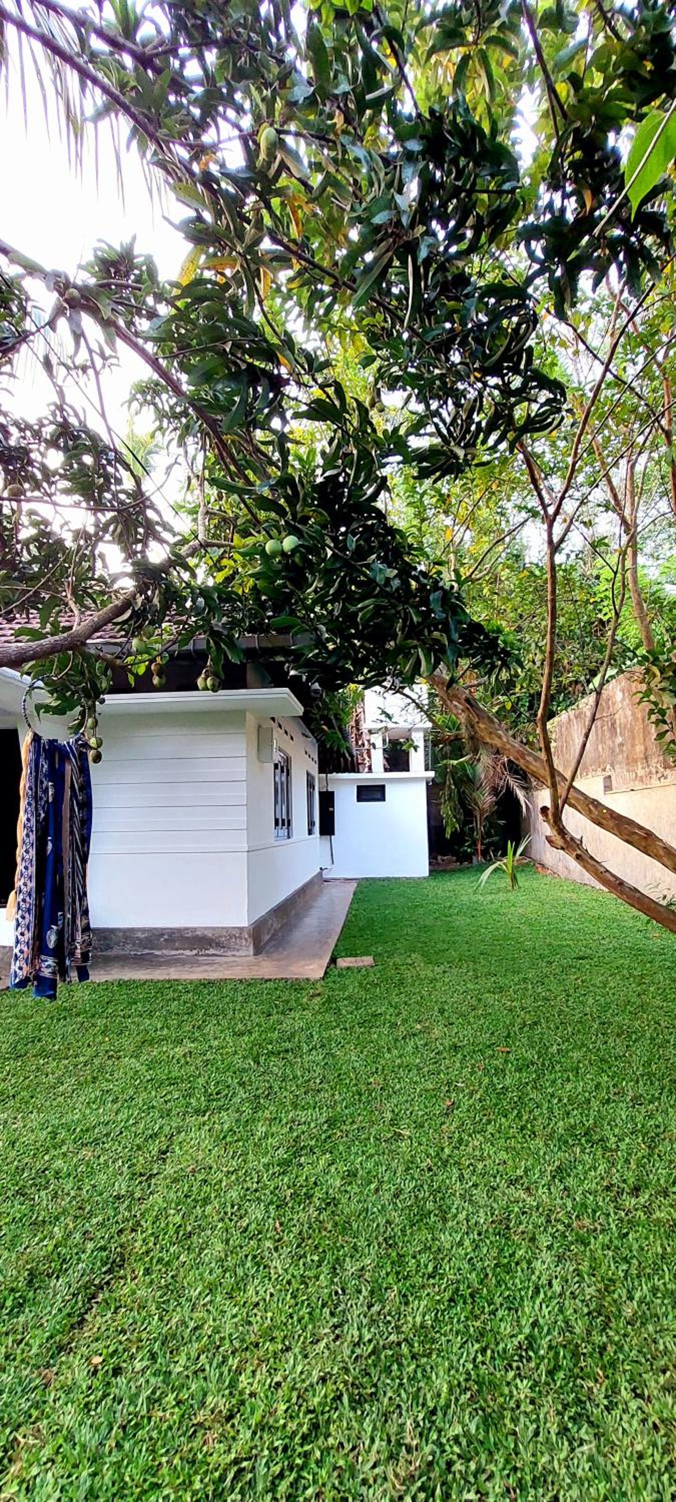 Homies Holiday House