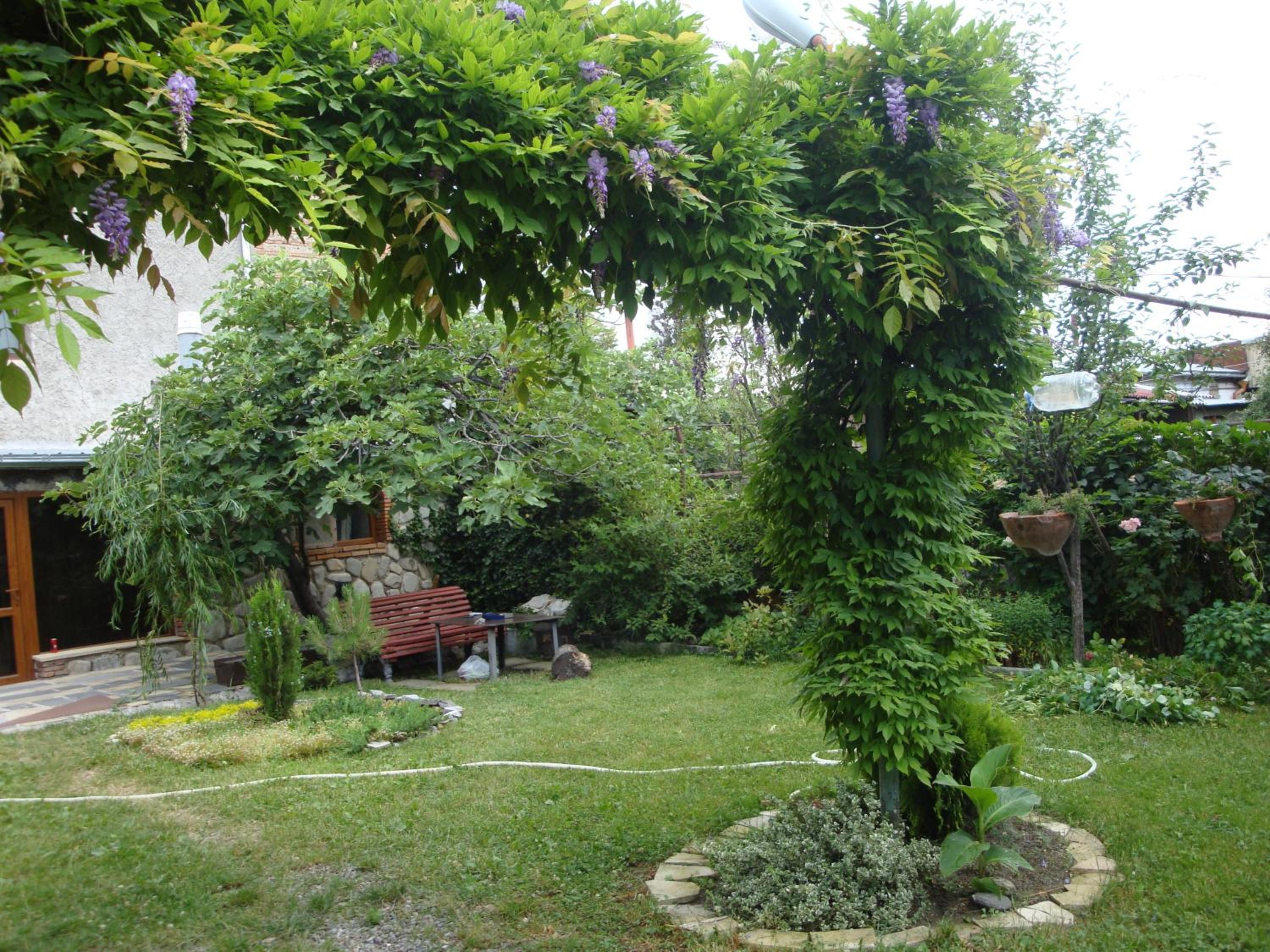 Photo 48