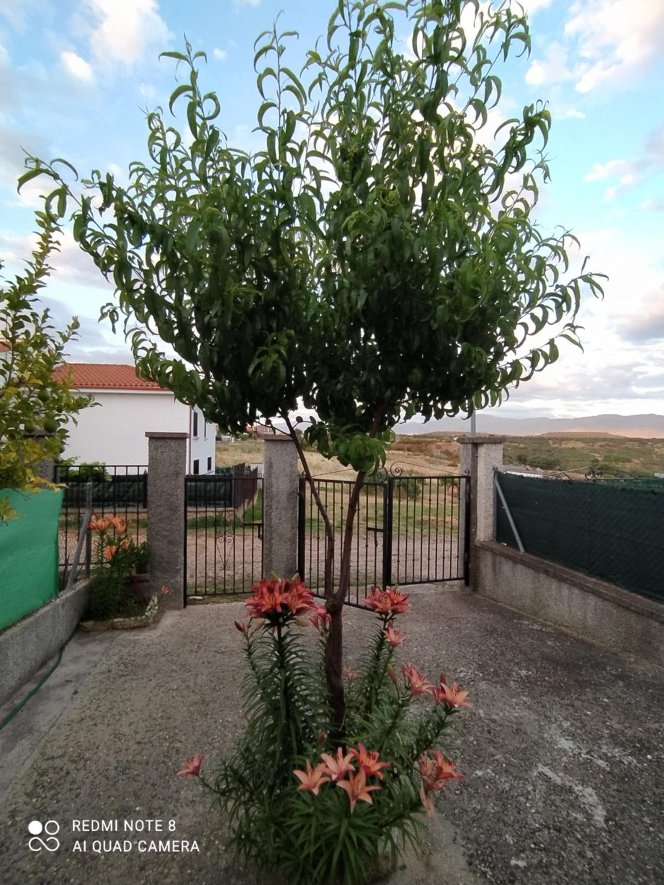 Photo 36