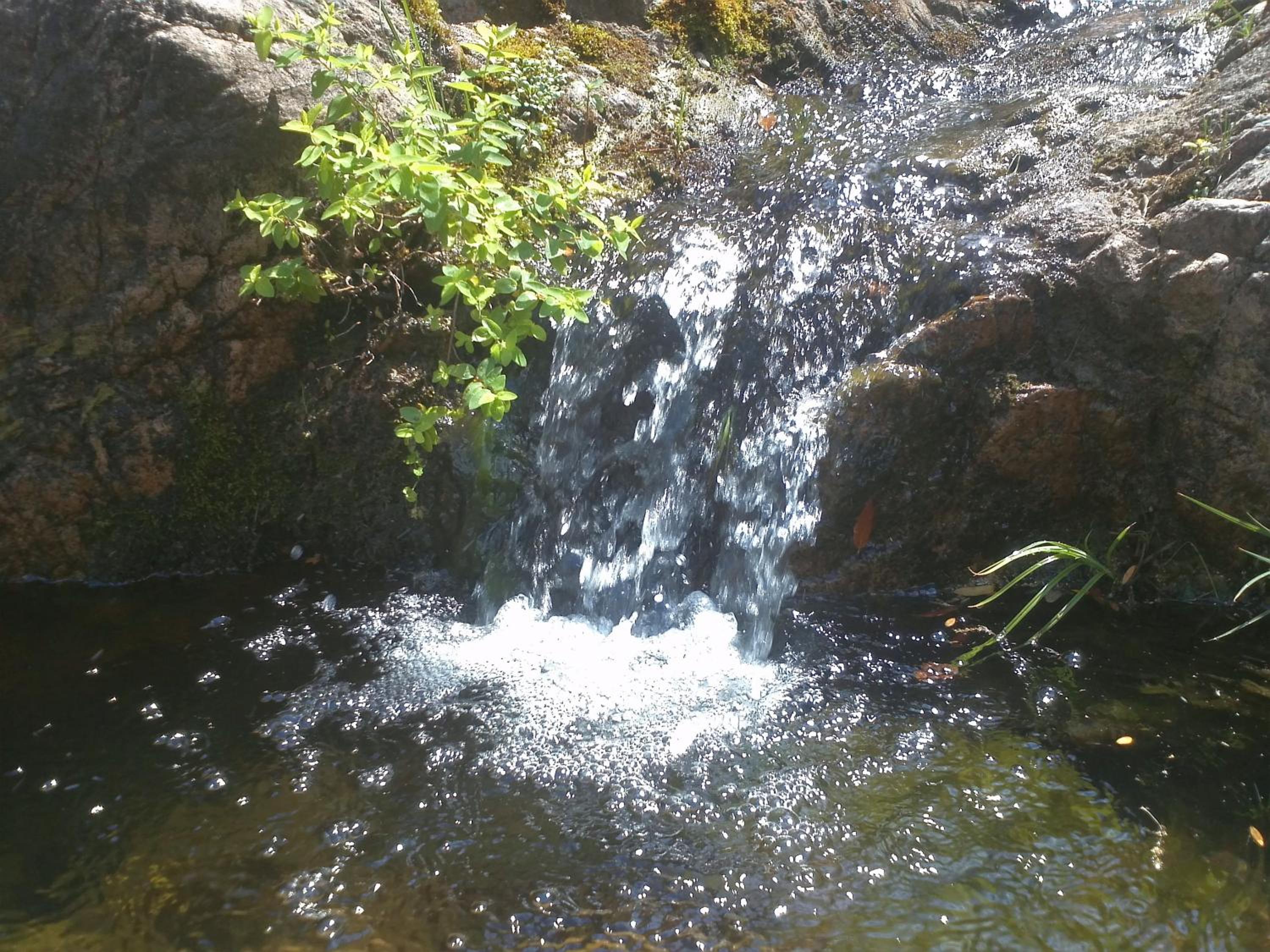 Photo 28