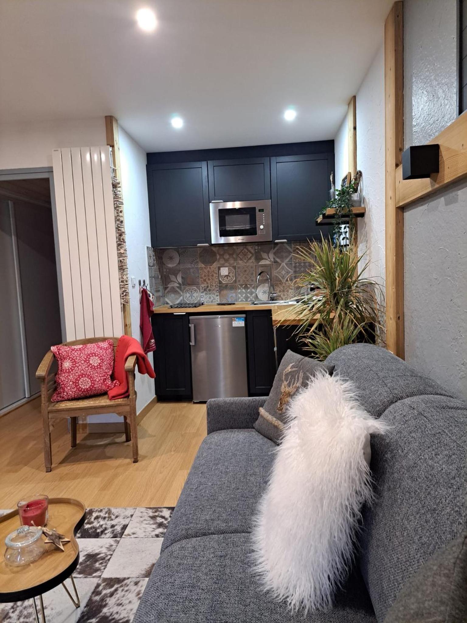 STUDIO 2 ALPES STYLE CHALET au PIED DE TELESIEGE DU DIABLE view 3
