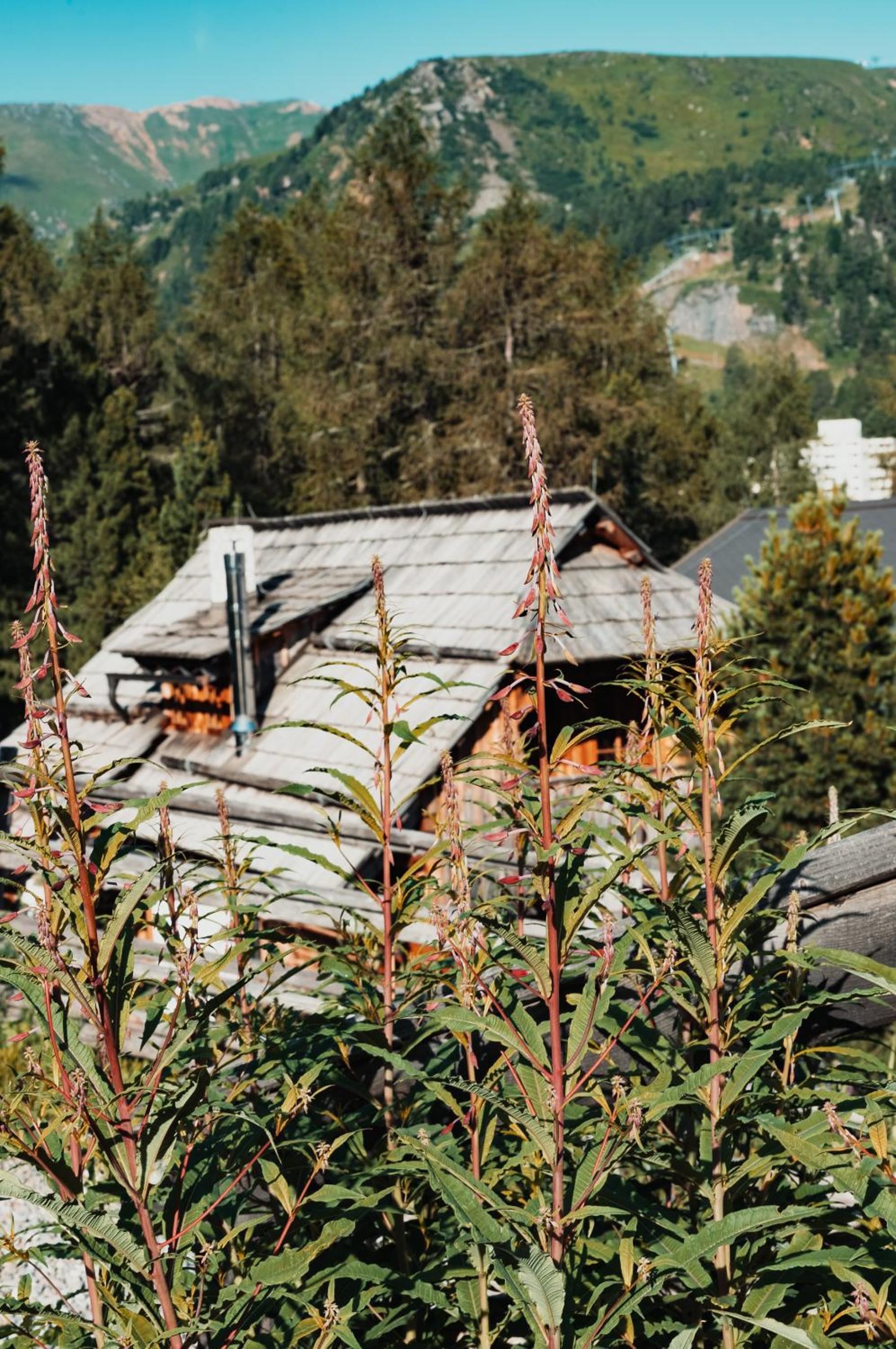 Mei Zeit Hüttendorf