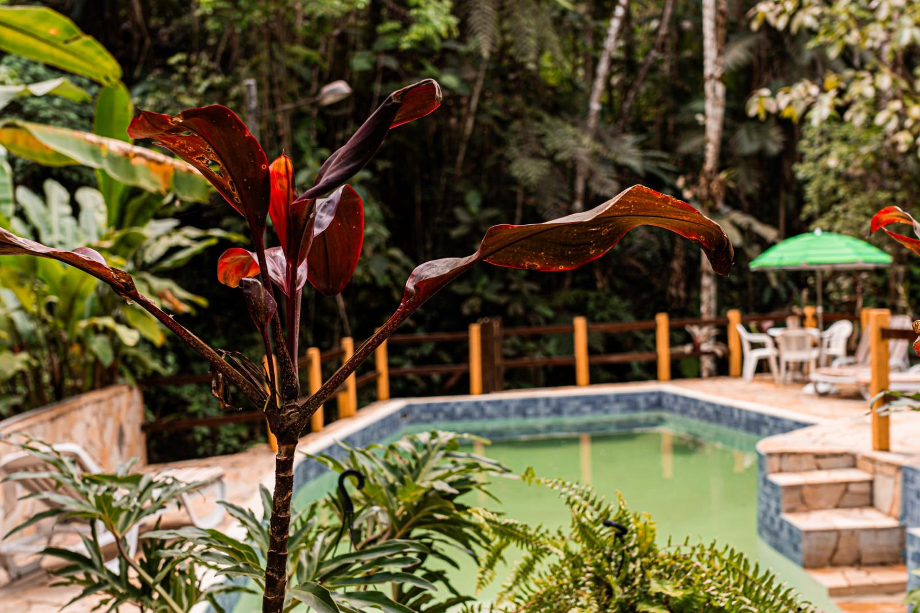 Espaço Viverde Penedo
