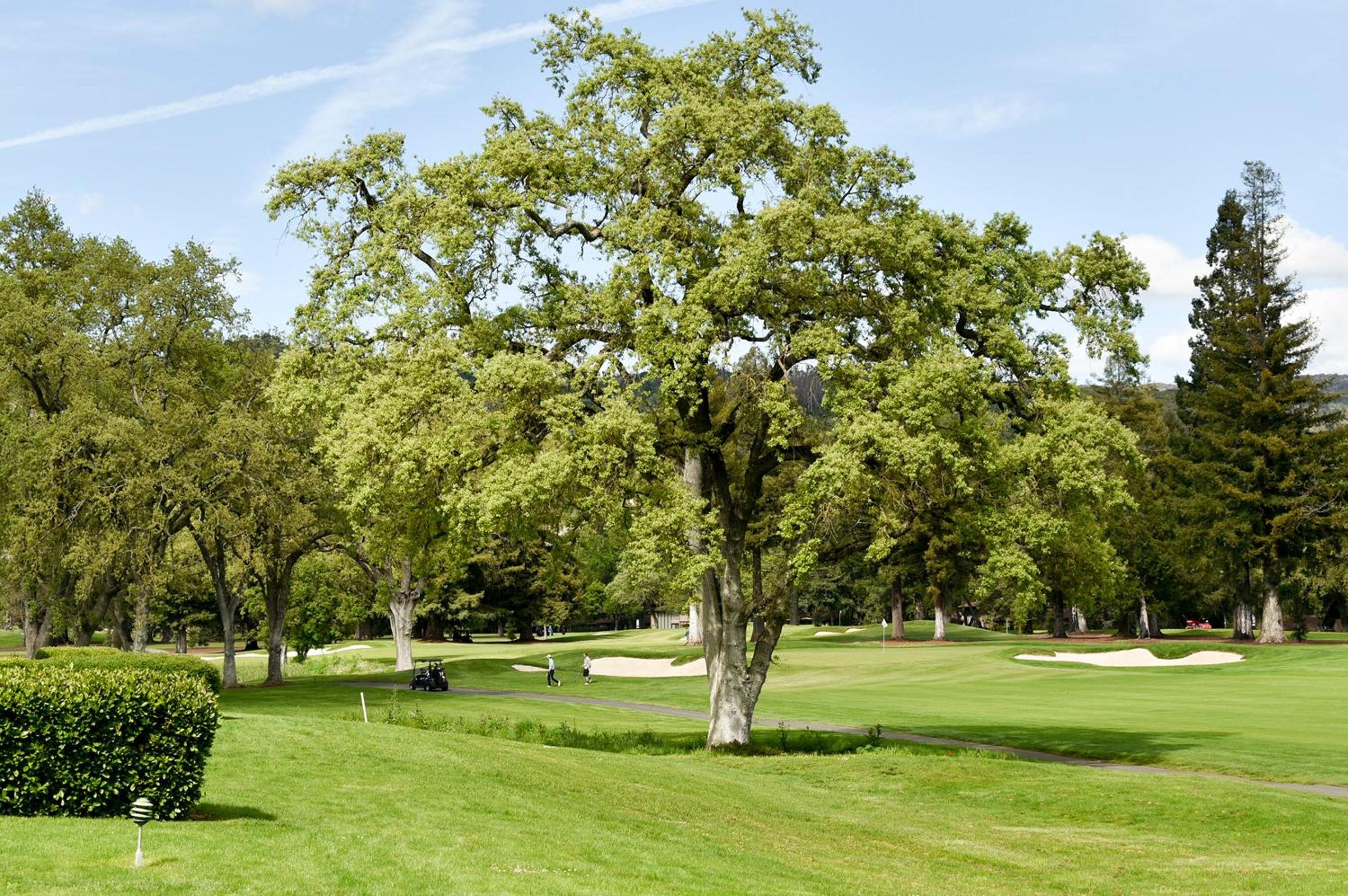 Wine Country Escape at Silverado in Napa! view 3