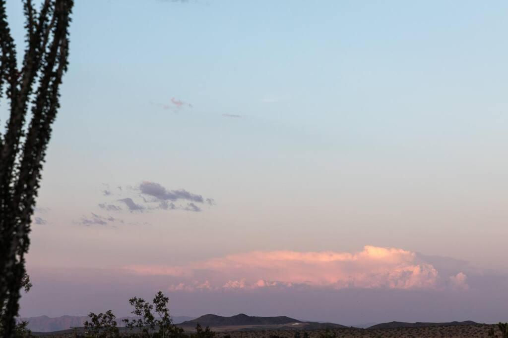 Photo 44
