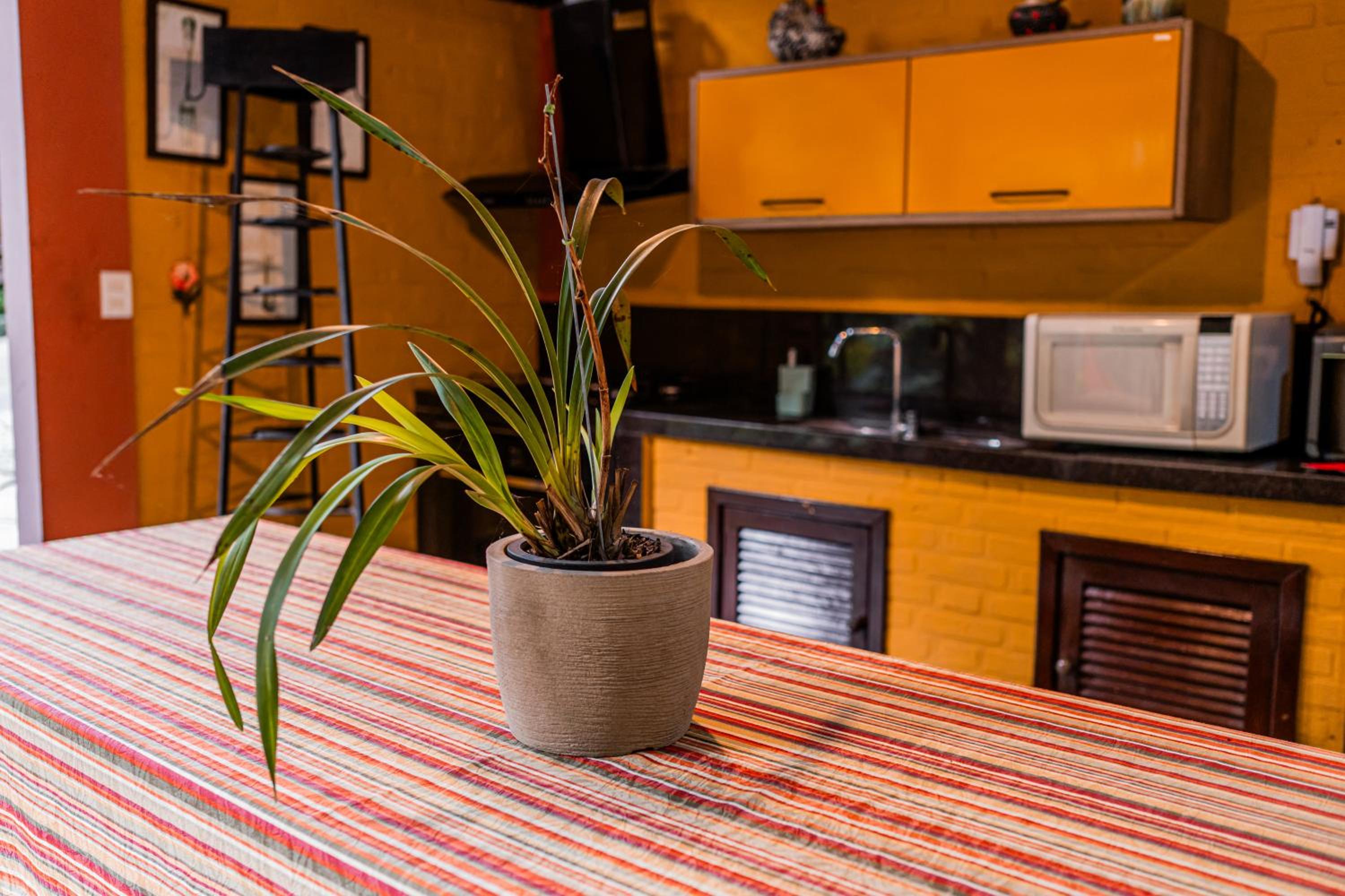 Espaço Viverde Penedo