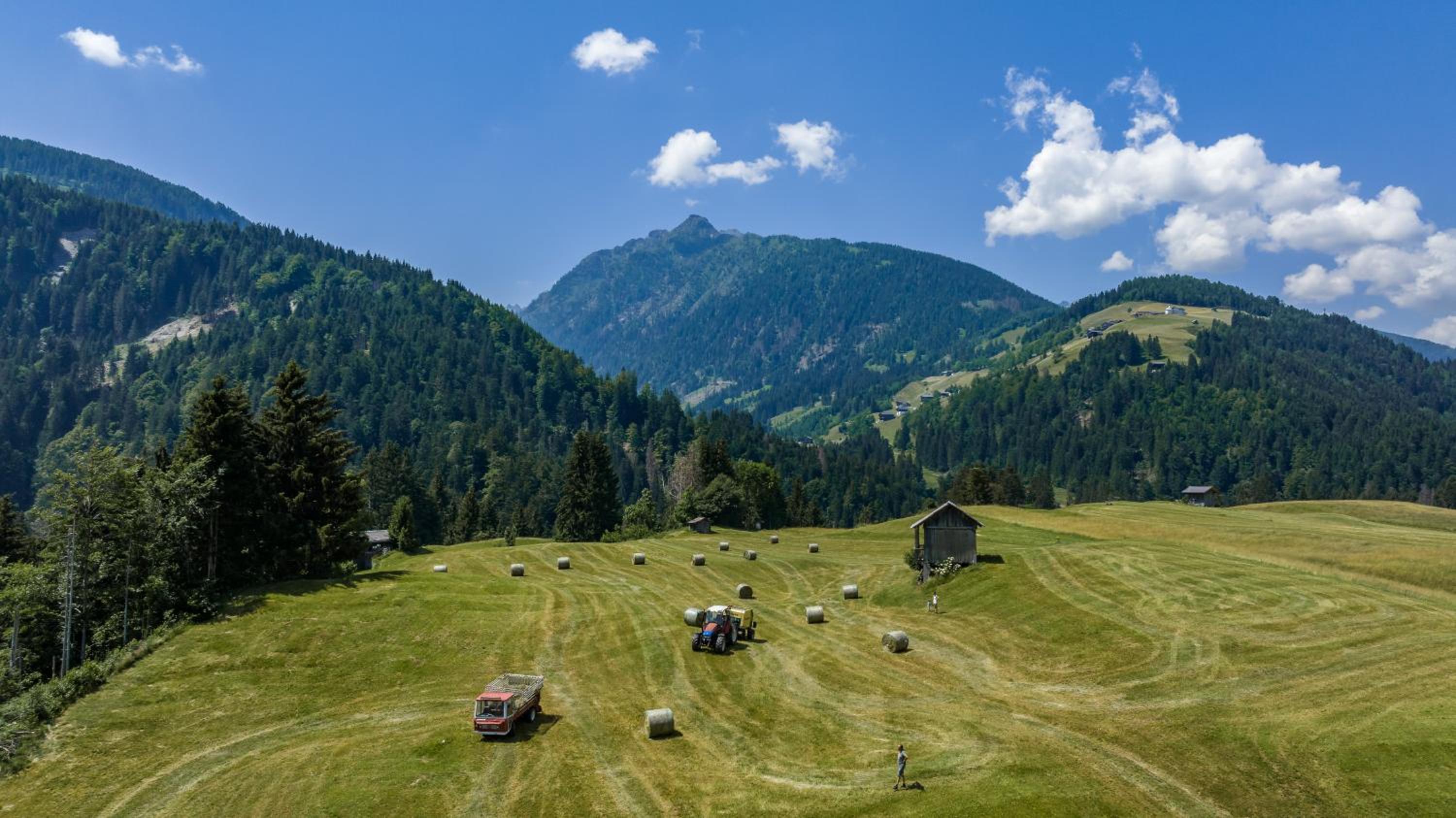 Apartmenthaus - Erlebenswert Bauernhof Gruber