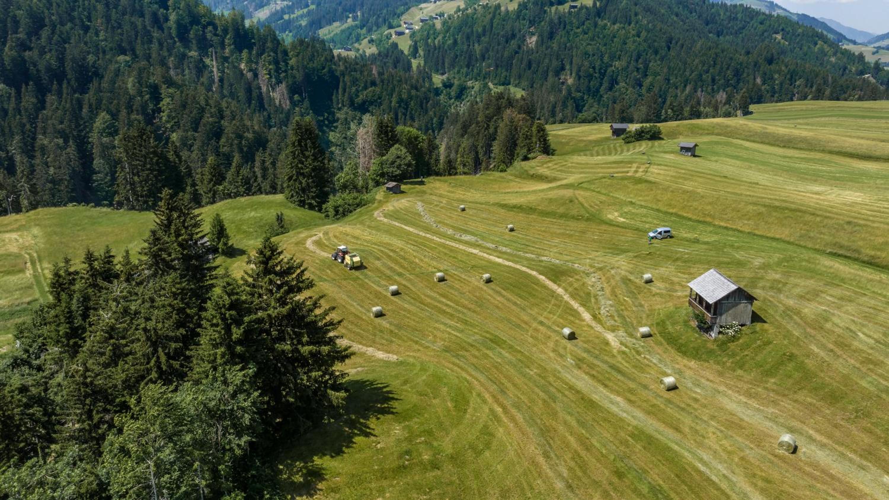 Apartmenthaus - Erlebenswert Bauernhof Gruber