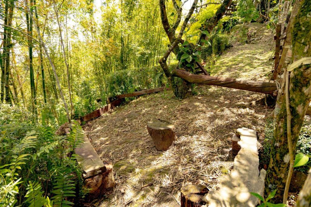 Rincones del Mogote