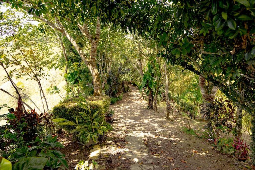 Rincones del Mogote