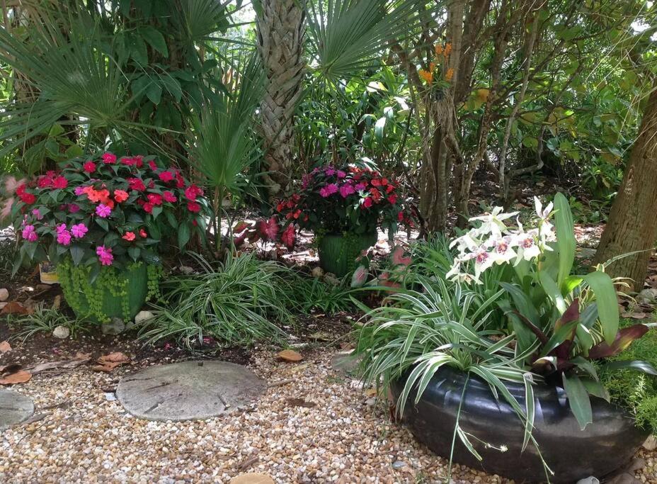 Beach Paradise Getaway - 200ft from Beach! view 2