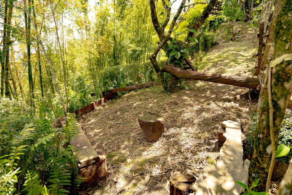 Rincones del Mogote